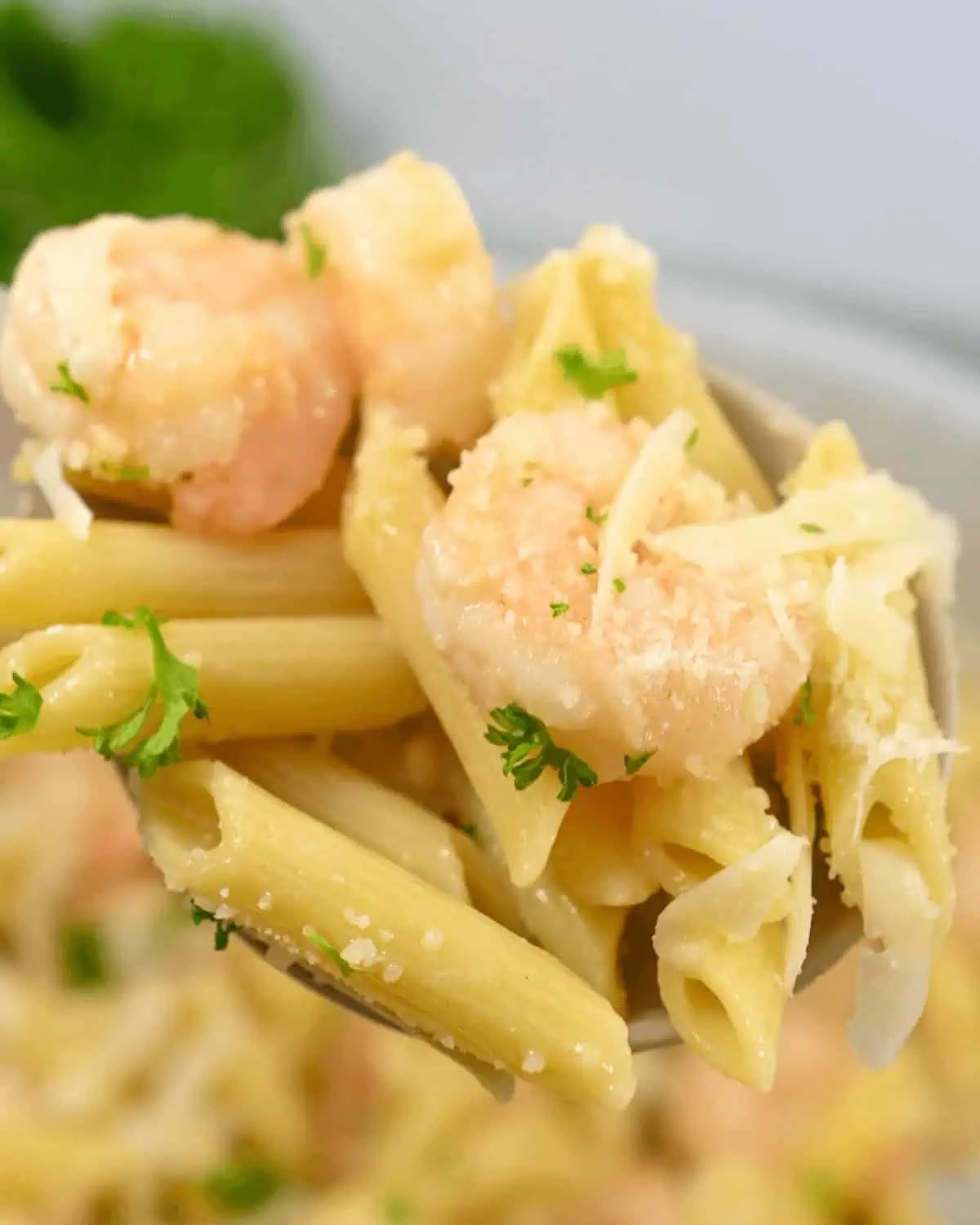 Parmesan Shrimp Pasta