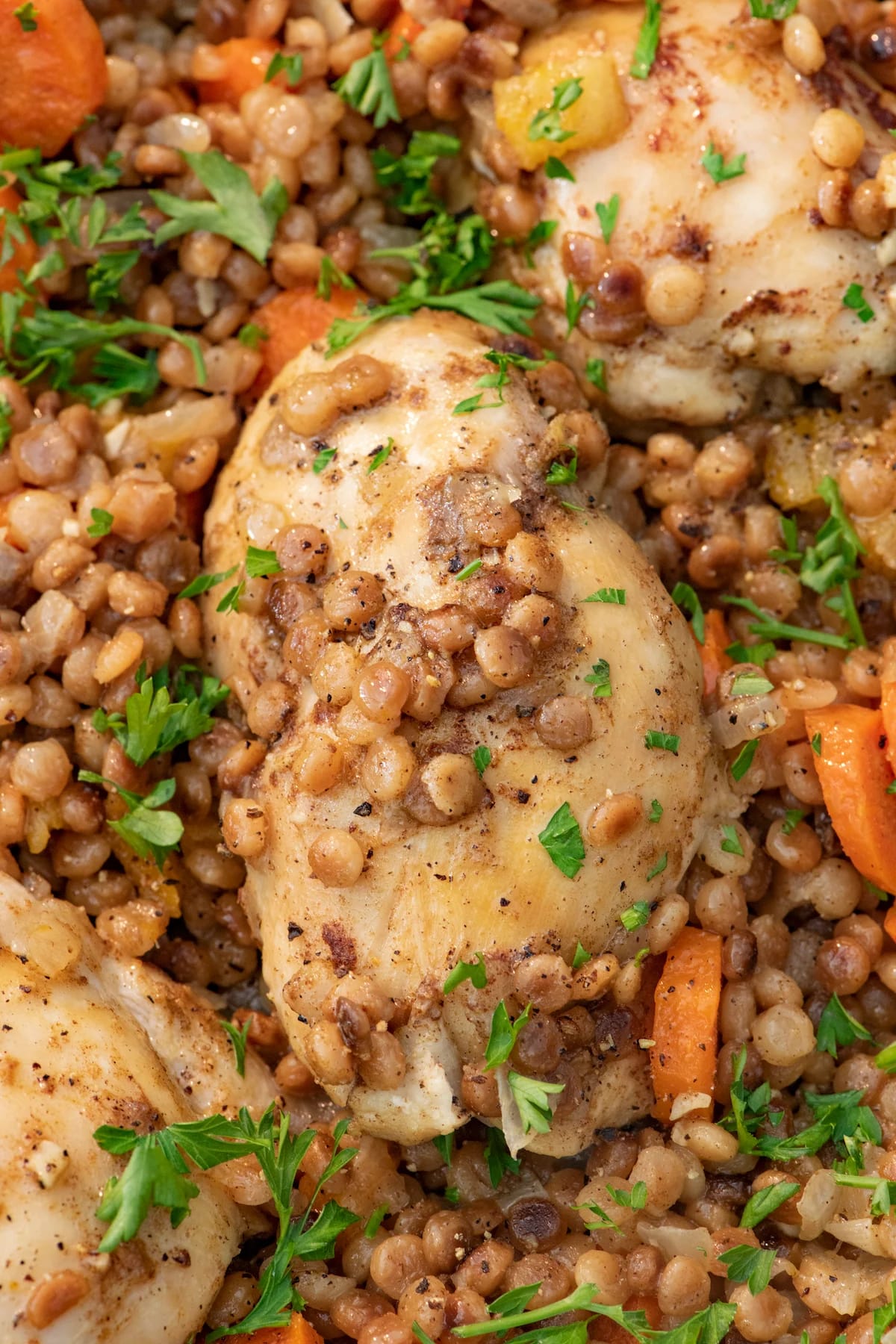 One Pot Spiced Chicken with Toasted Couscous