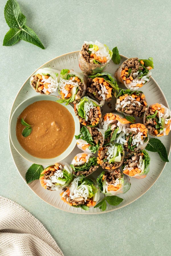 Vietnamese Spring Rolls cover