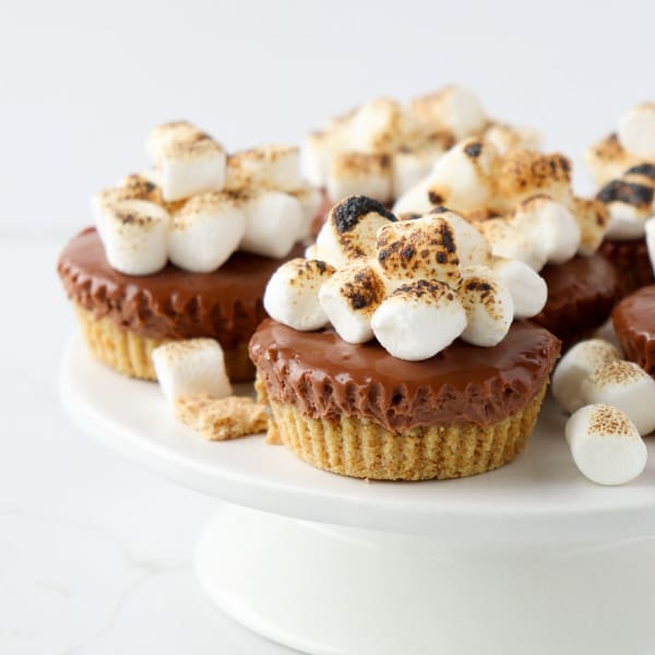 No-Bake Mini S'mores Cheesecakes cover