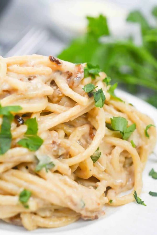 Caramelized Onion Pasta cover