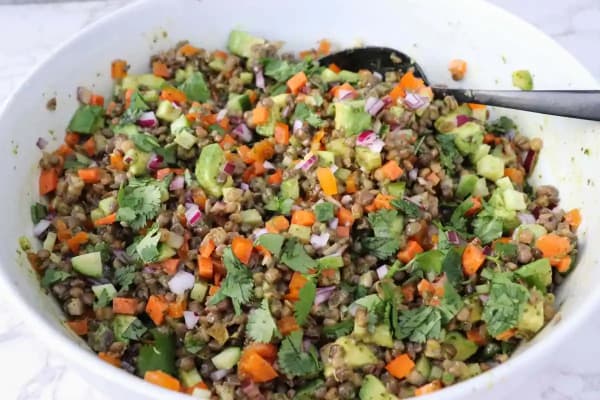 Easy Cold Lentil Salad with Cilantro Curry Vinaigrette cover
