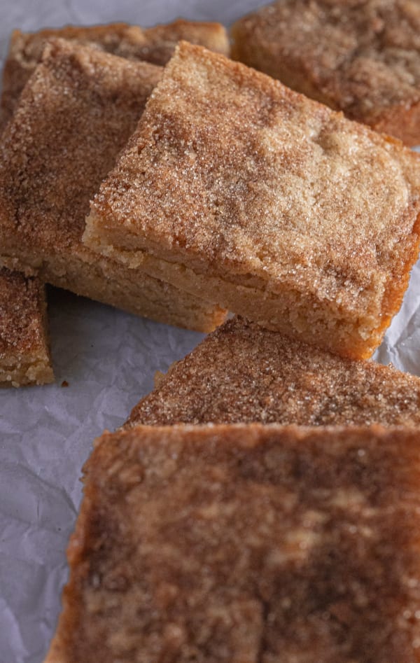 Brown Butter Snickerdoodle Blondies cover