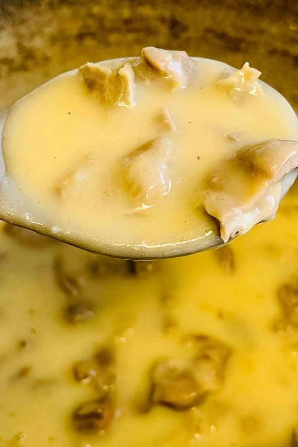 Giblet and Turkey Neck Gravy cover