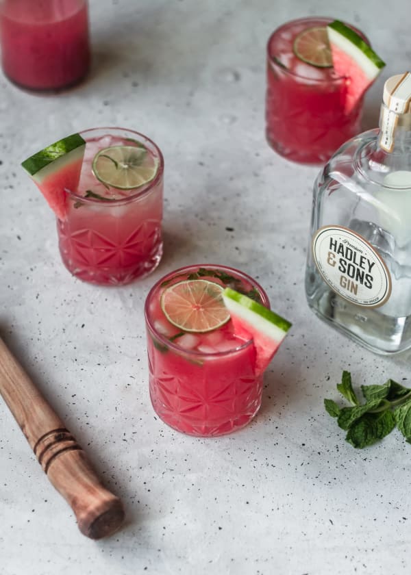 Watermelon Gin Fizz With Mint cover