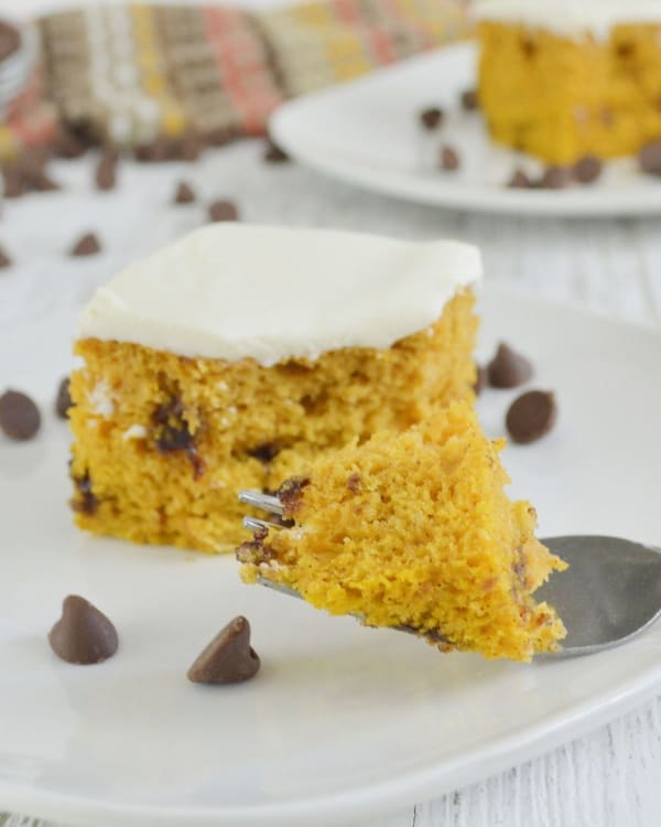 Pumpkin Chocolate Chip Cake cover