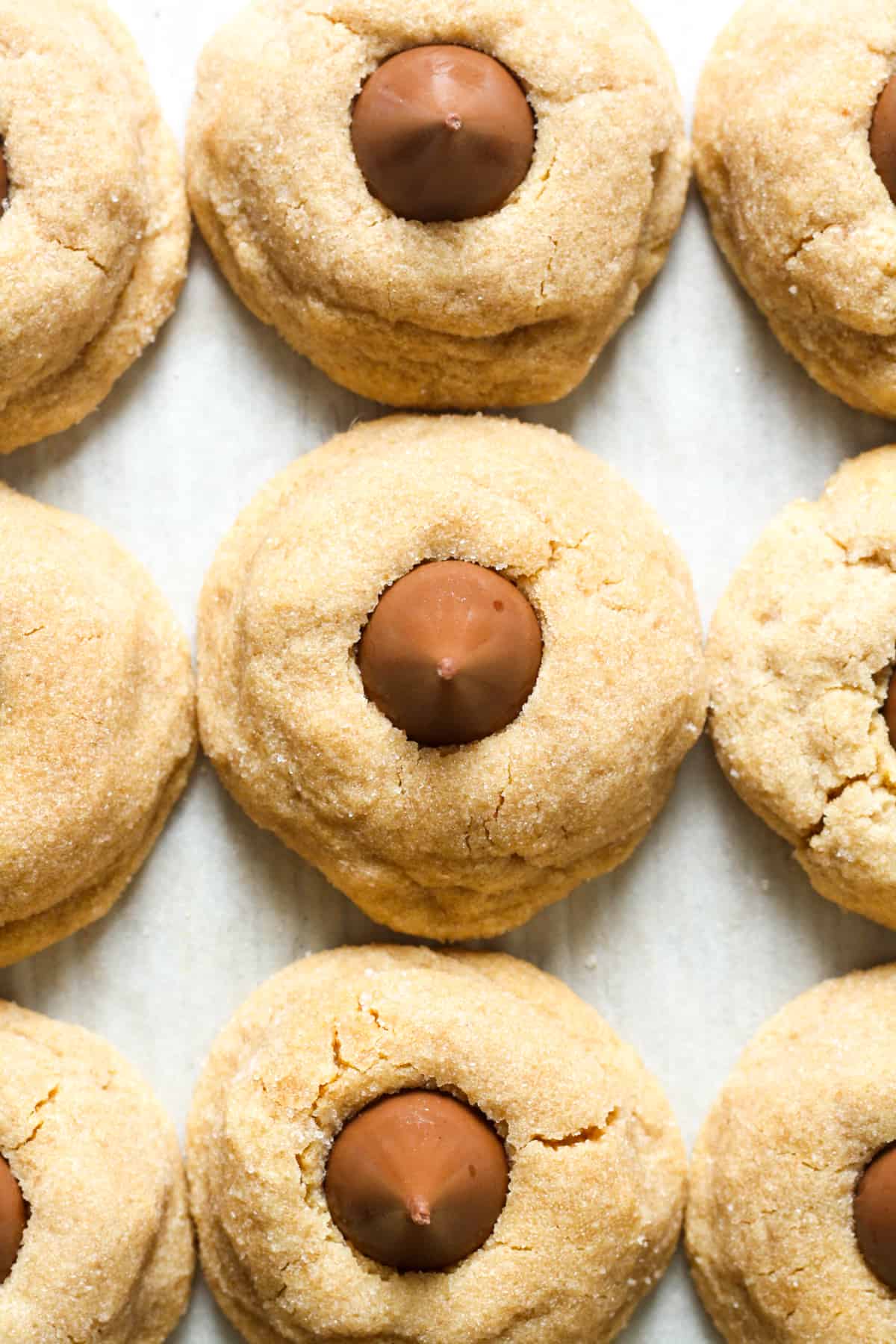 Gluten Free Peanut Butter Blossoms