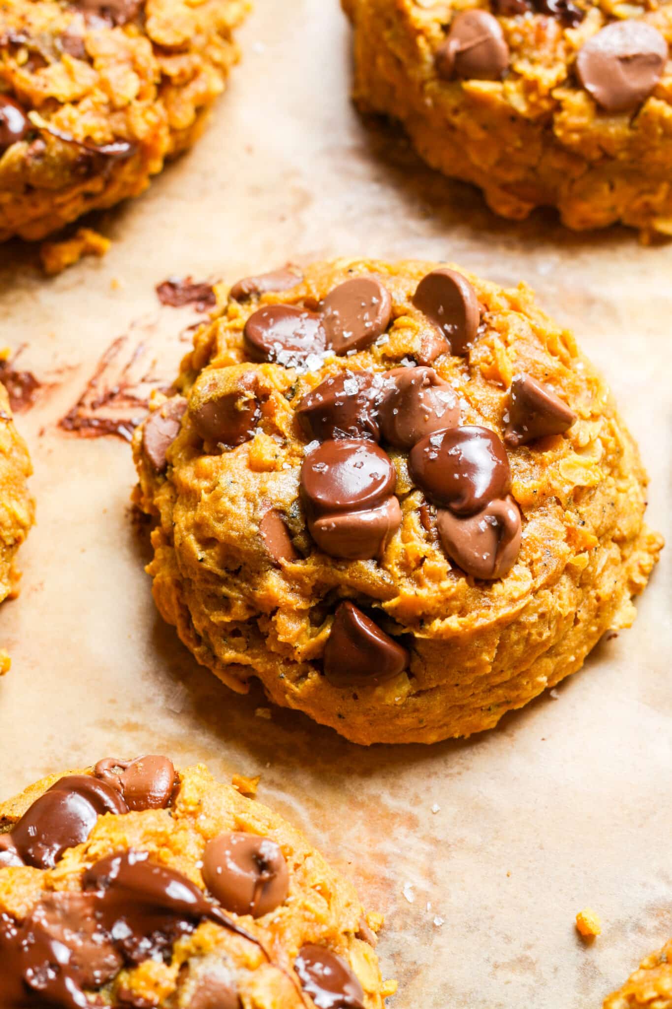 Pumpkin Oatmeal Chocolate Chip Cookies