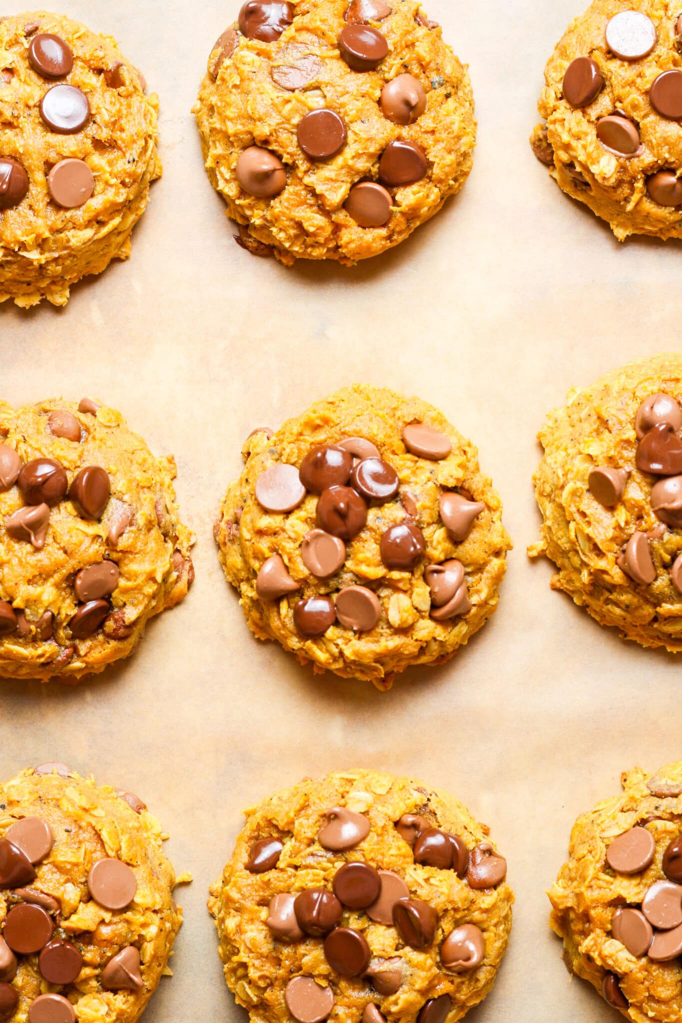 Pumpkin Oatmeal Chocolate Chip Cookies