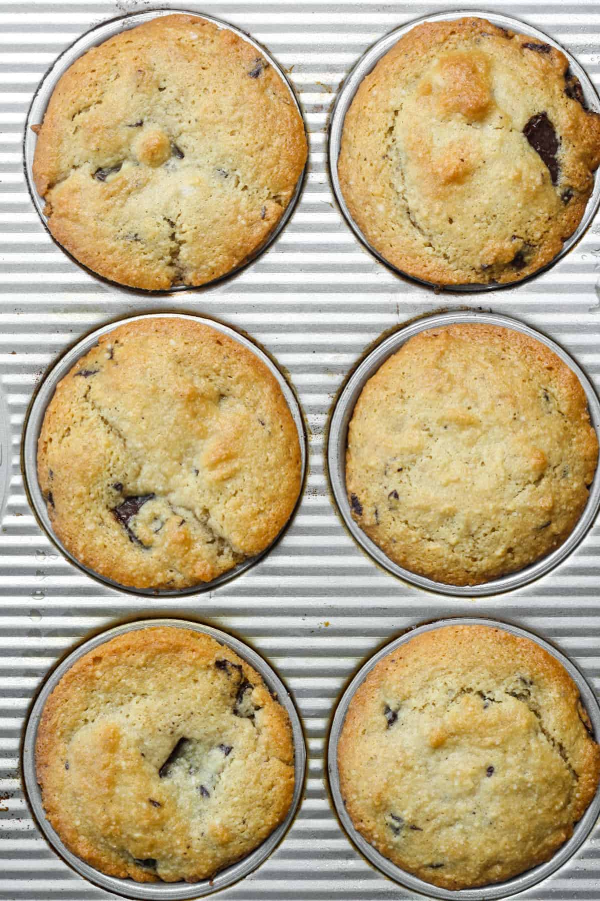 Almond Flour Muffins