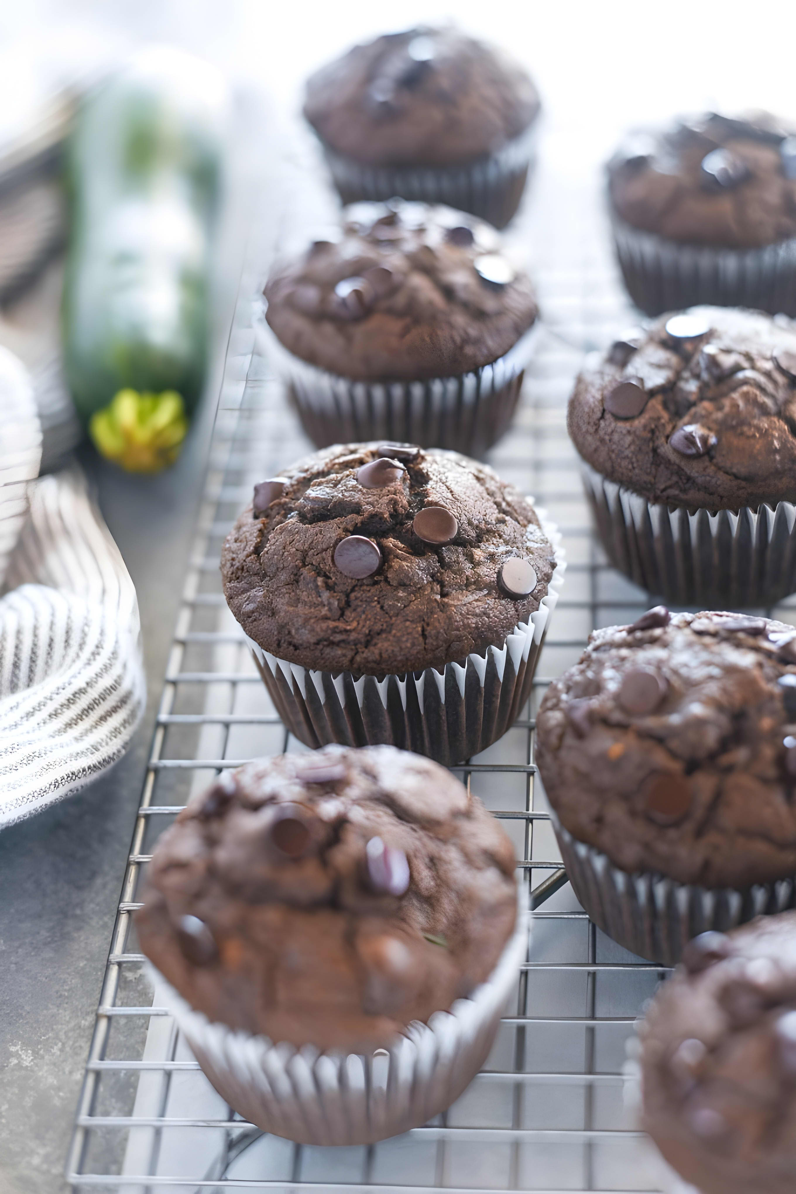 Healthy Chocolate Zucchini Muffins