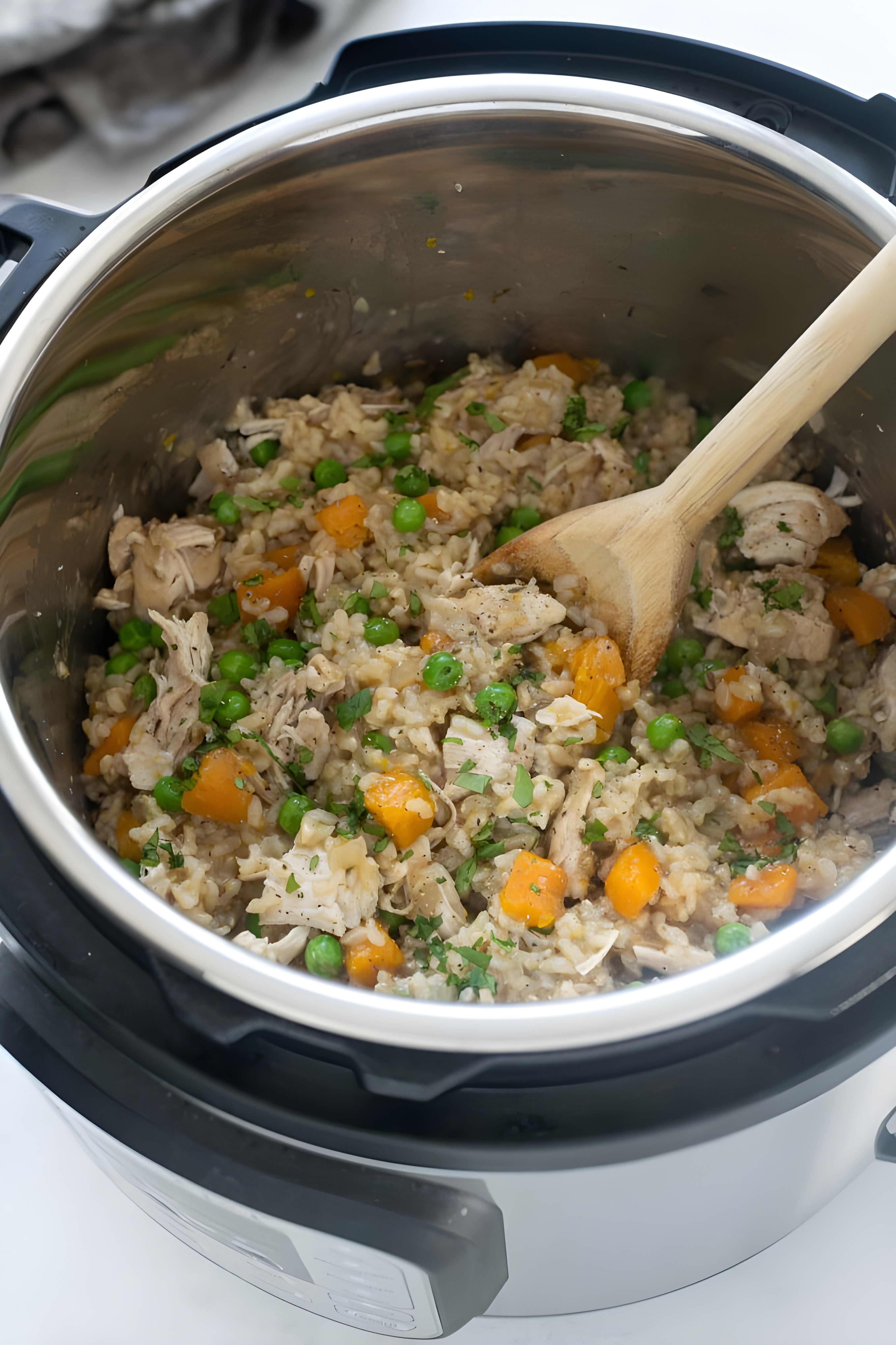 Instant Pot Chicken and Rice