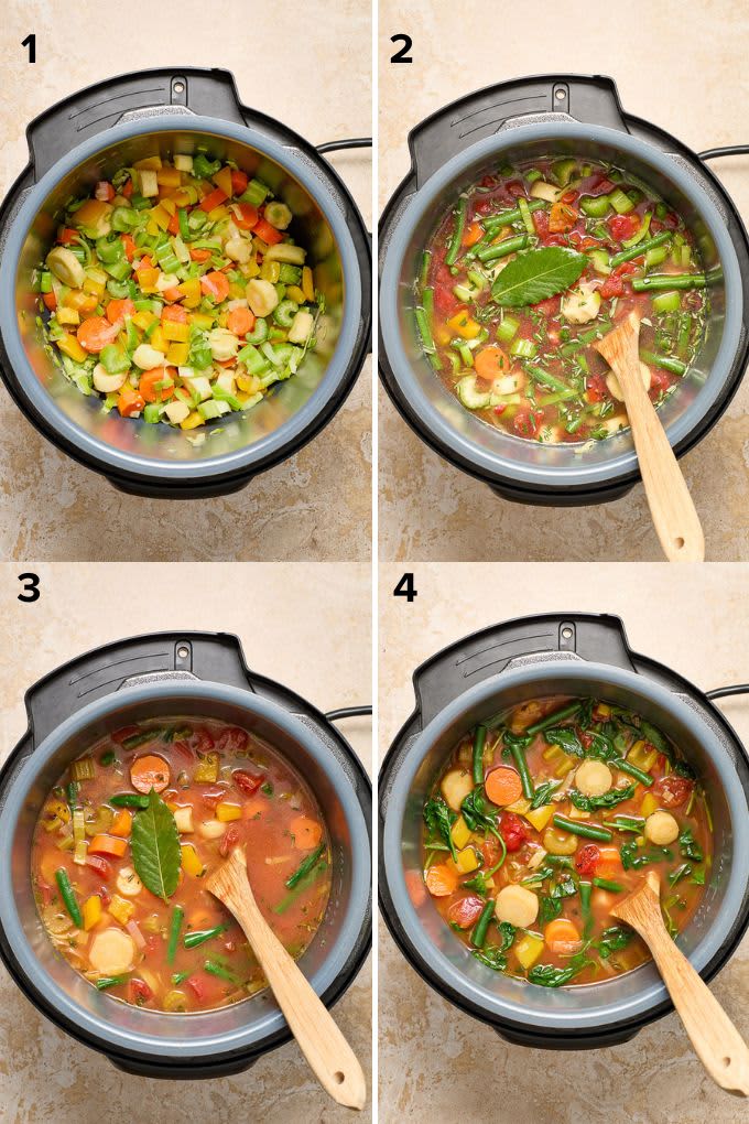 Instant Pot Vegetable Soup