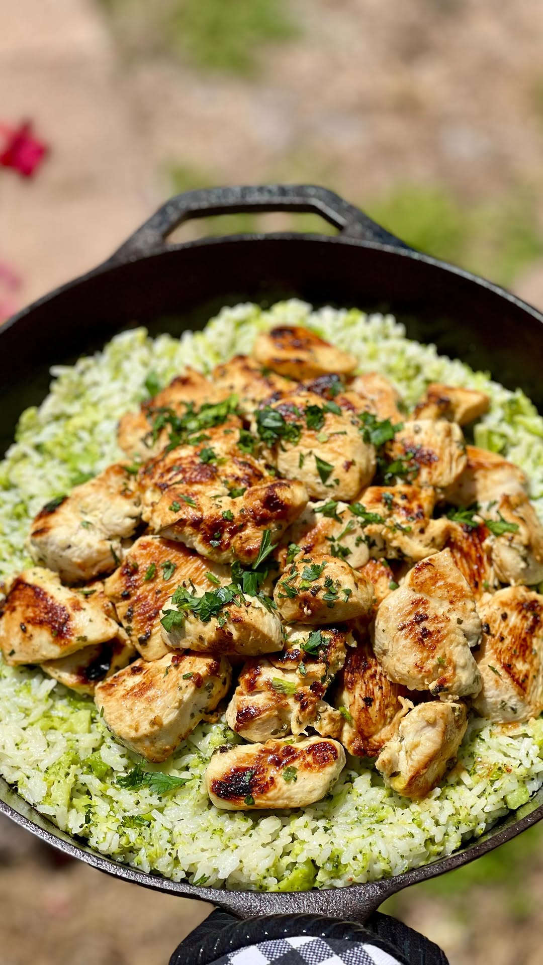 Lemon Garlic Chicken with Broccoli Cheddar Rice