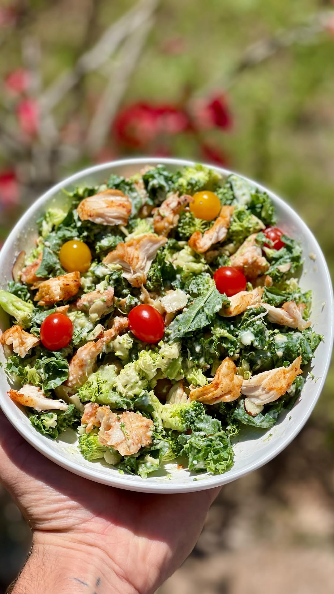 Healthy Homemade Chicken Caesar Salad