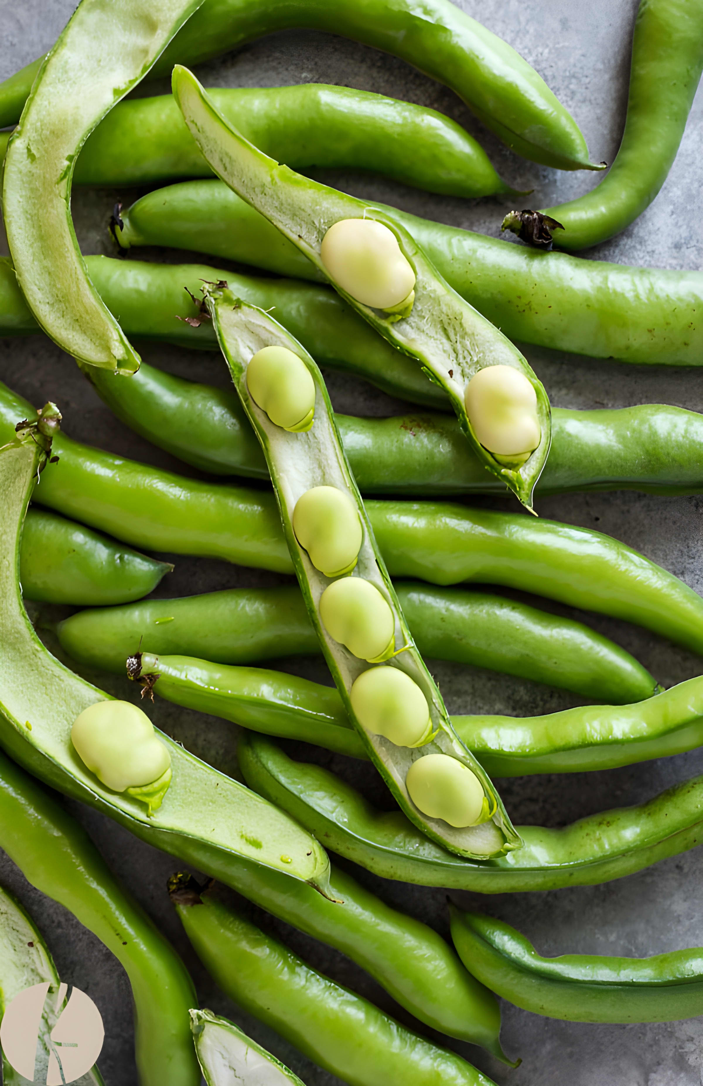 How To Cook Fava Beans