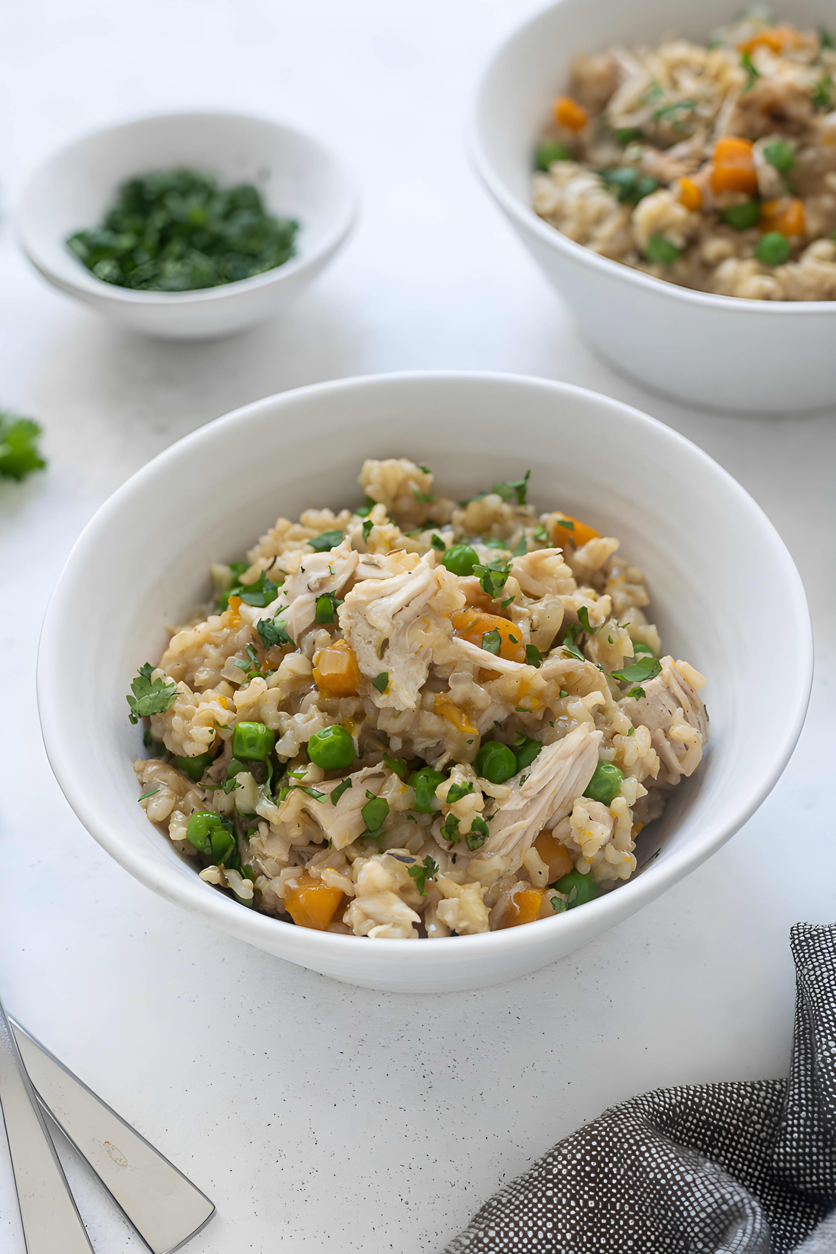 Instant Pot Chicken and Rice