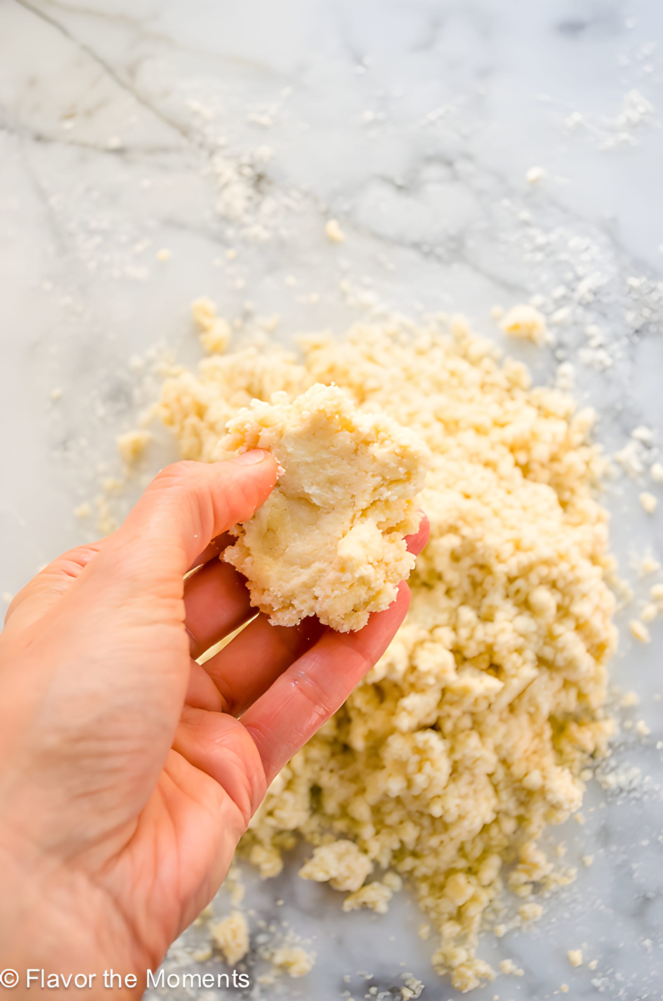 Quick and Easy Flaky Pie Crust