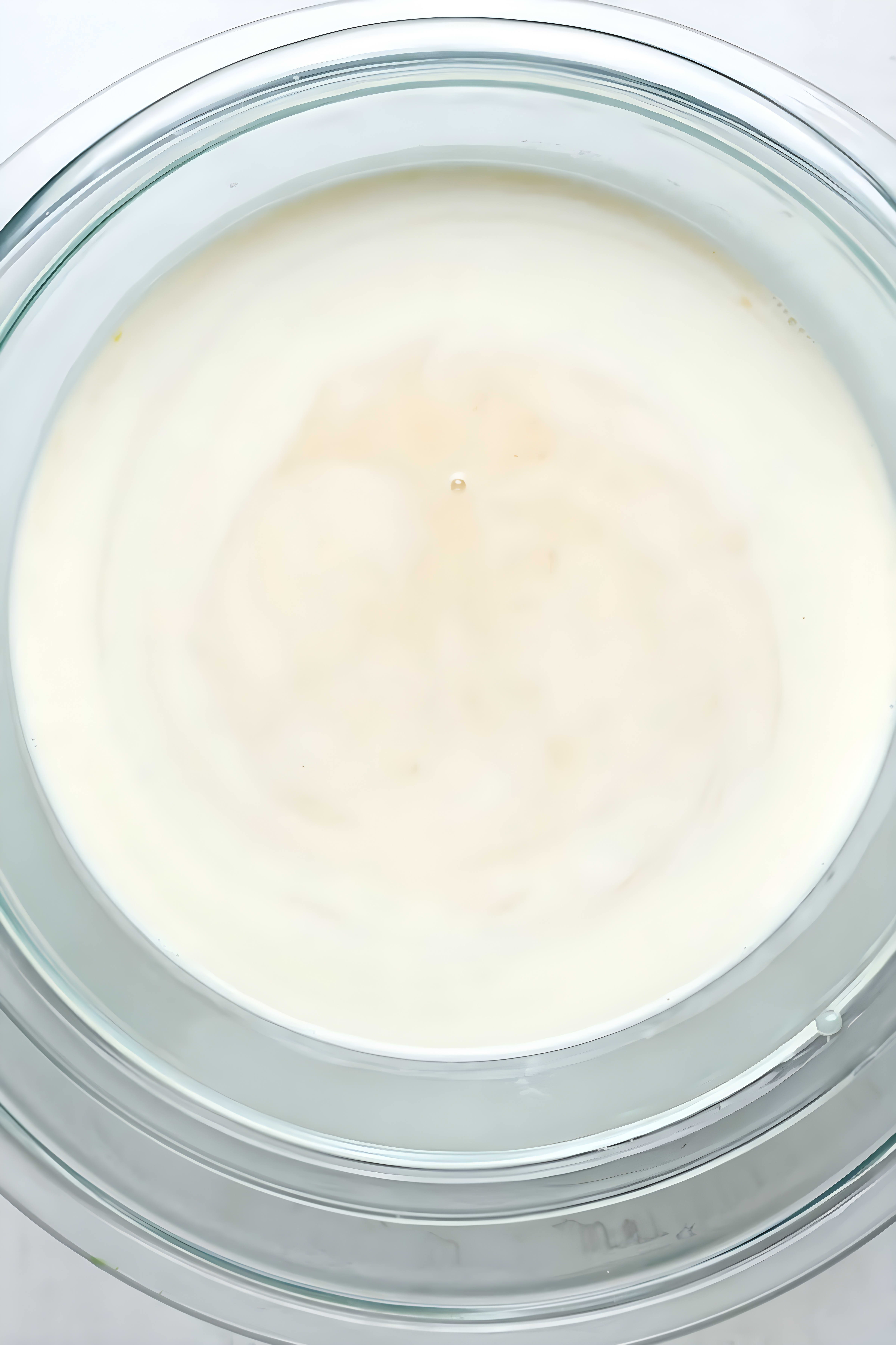 Butter Pecan Ice Cream