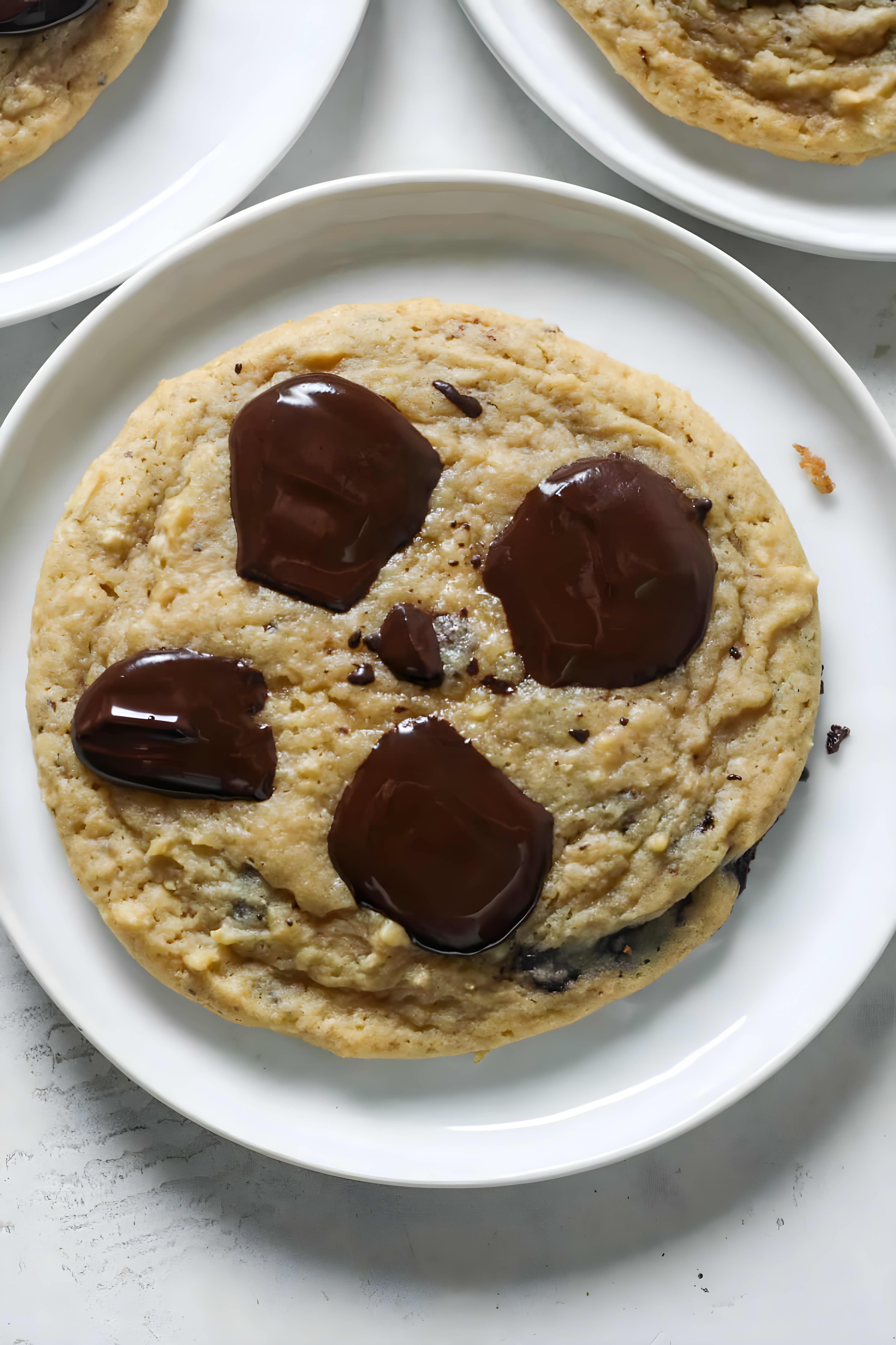 Applesauce Chocolate Chip Cookies