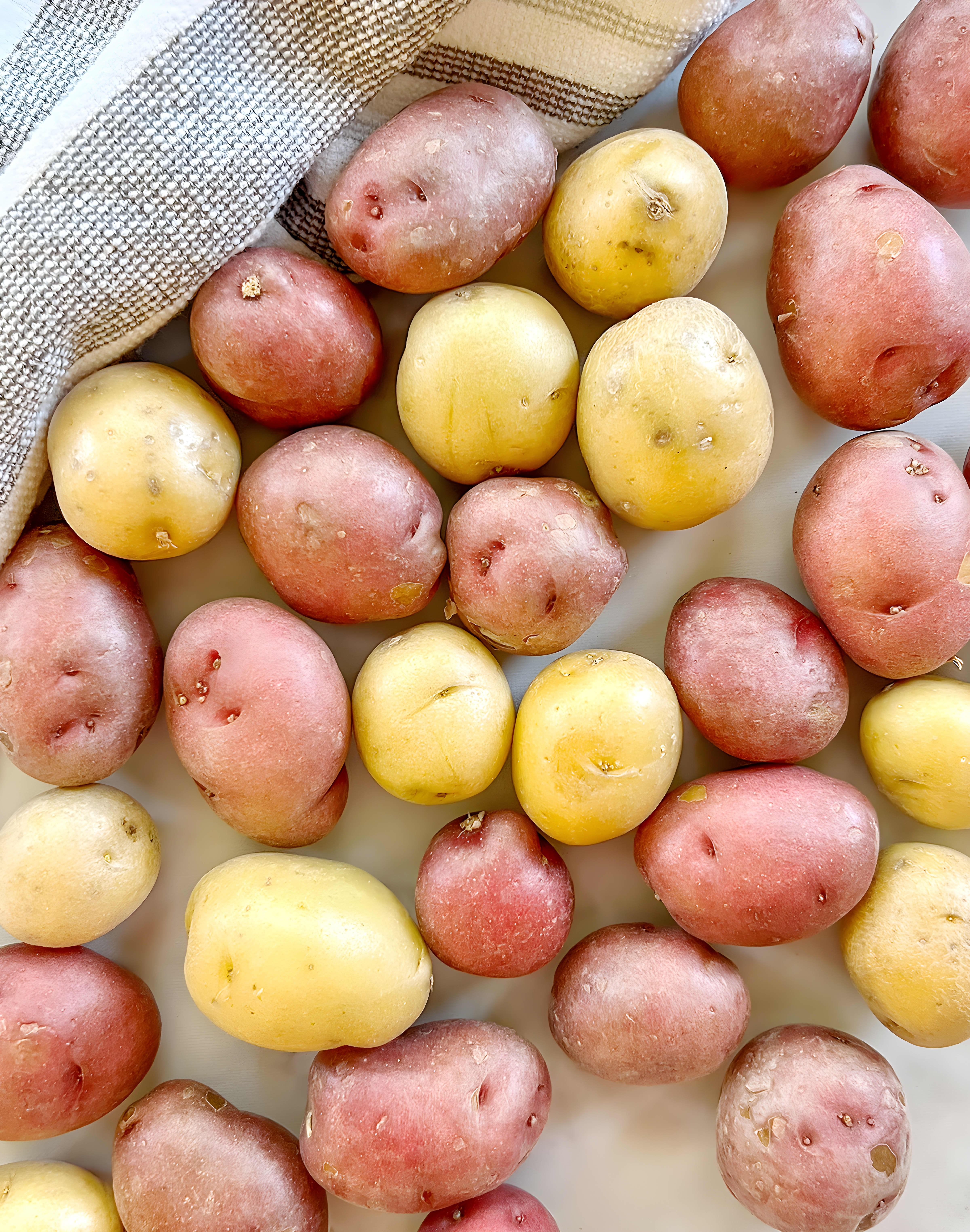 Roasted Creamer Potatoes