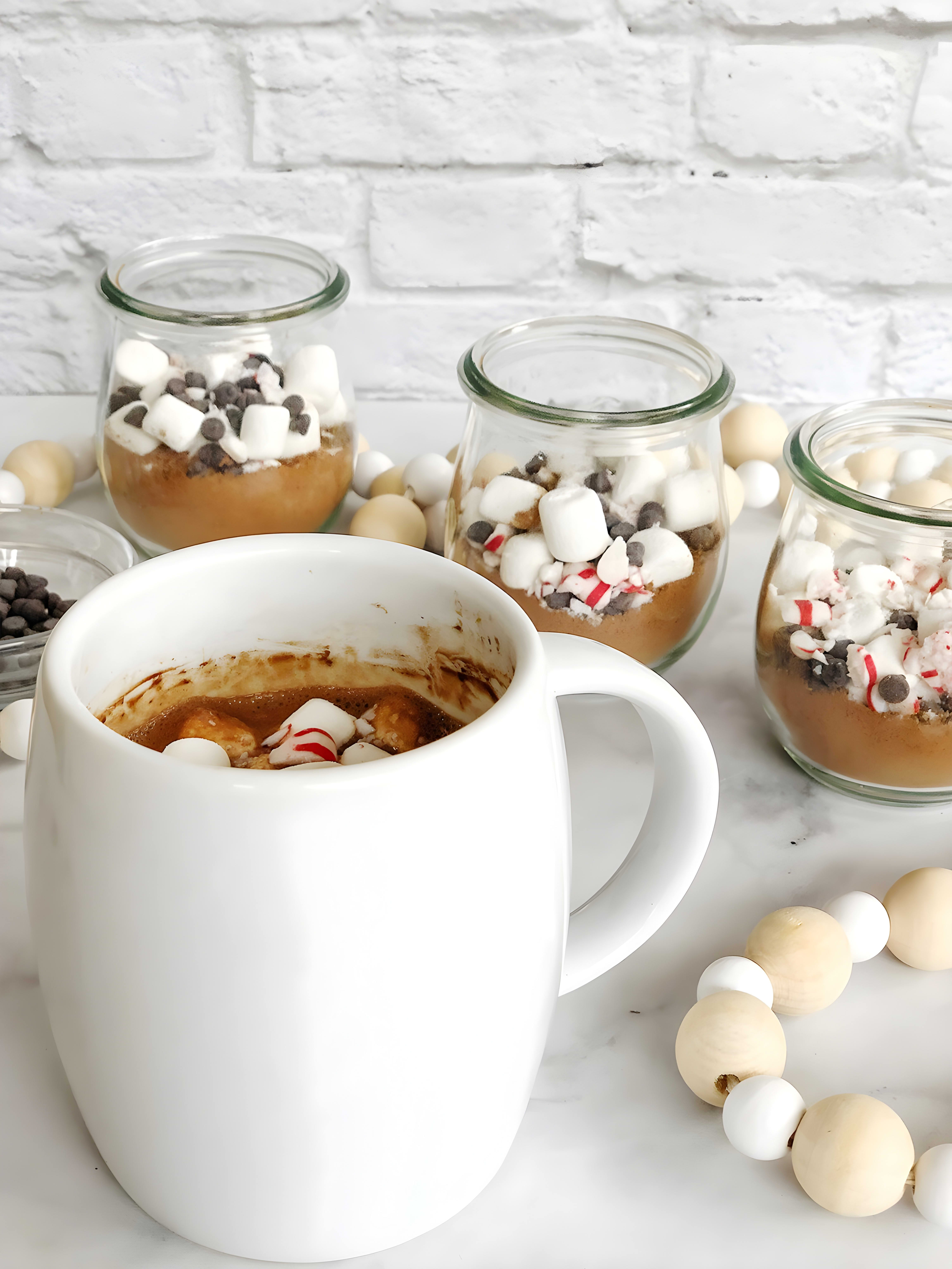 Homemade Dairy Free Hot Cocoa Mix