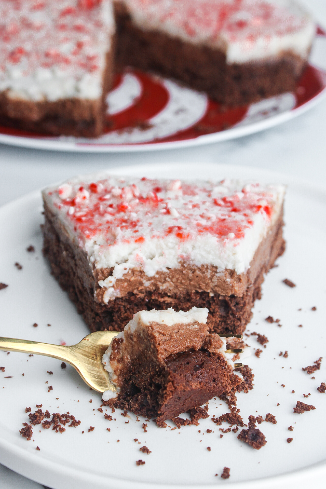 Vegan Peppermint Mocha Mousse Cake