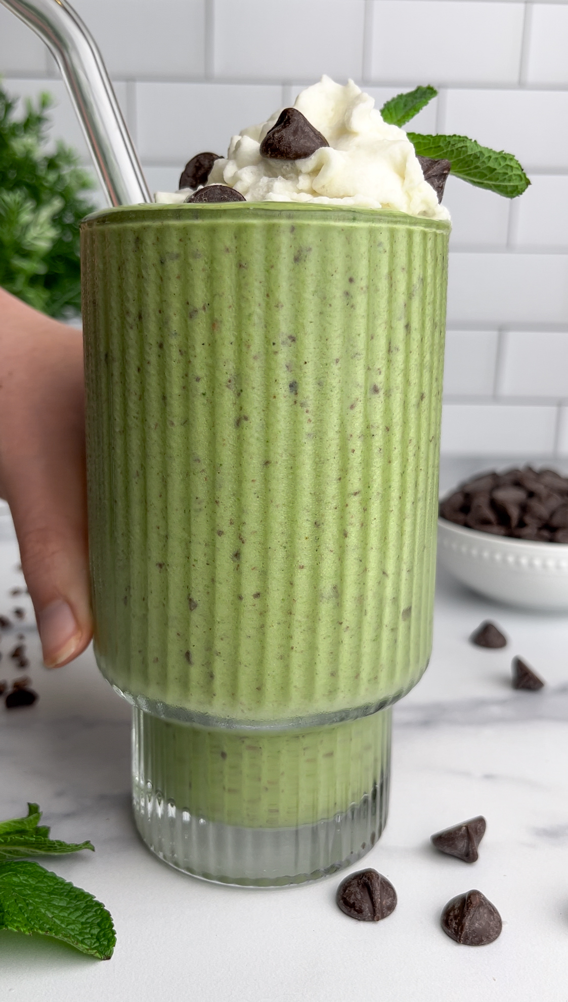 Mint Chocolate Chip Smoothie