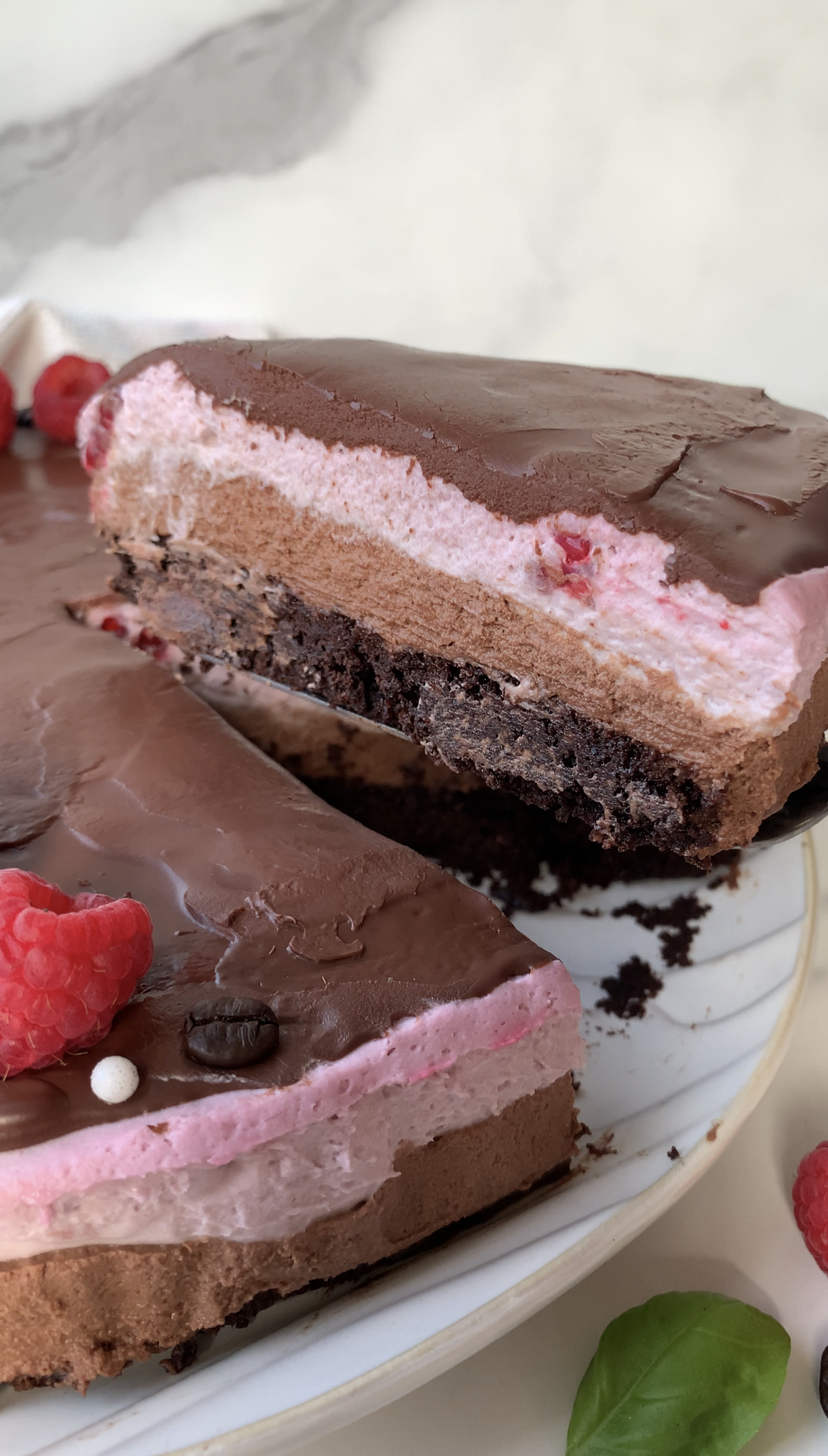Raspberry Mocha Mousse Cake
