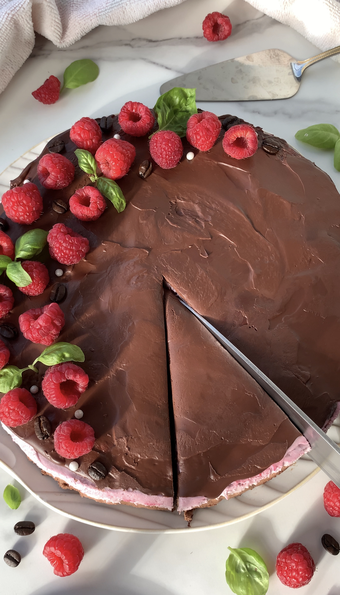 Raspberry Mocha Mousse Cake