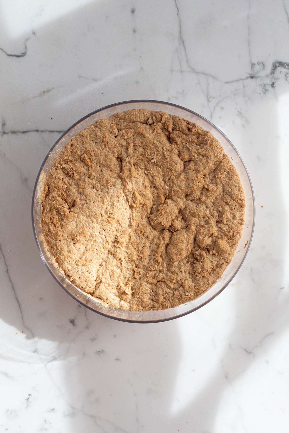 Wholemeal Bread Without Grains