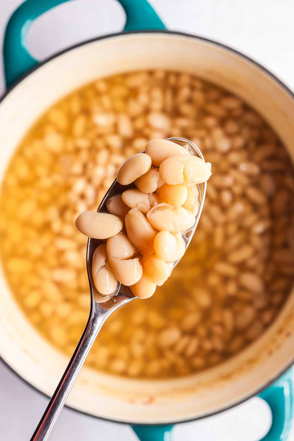 Simple Stovetop Great Northern Beans