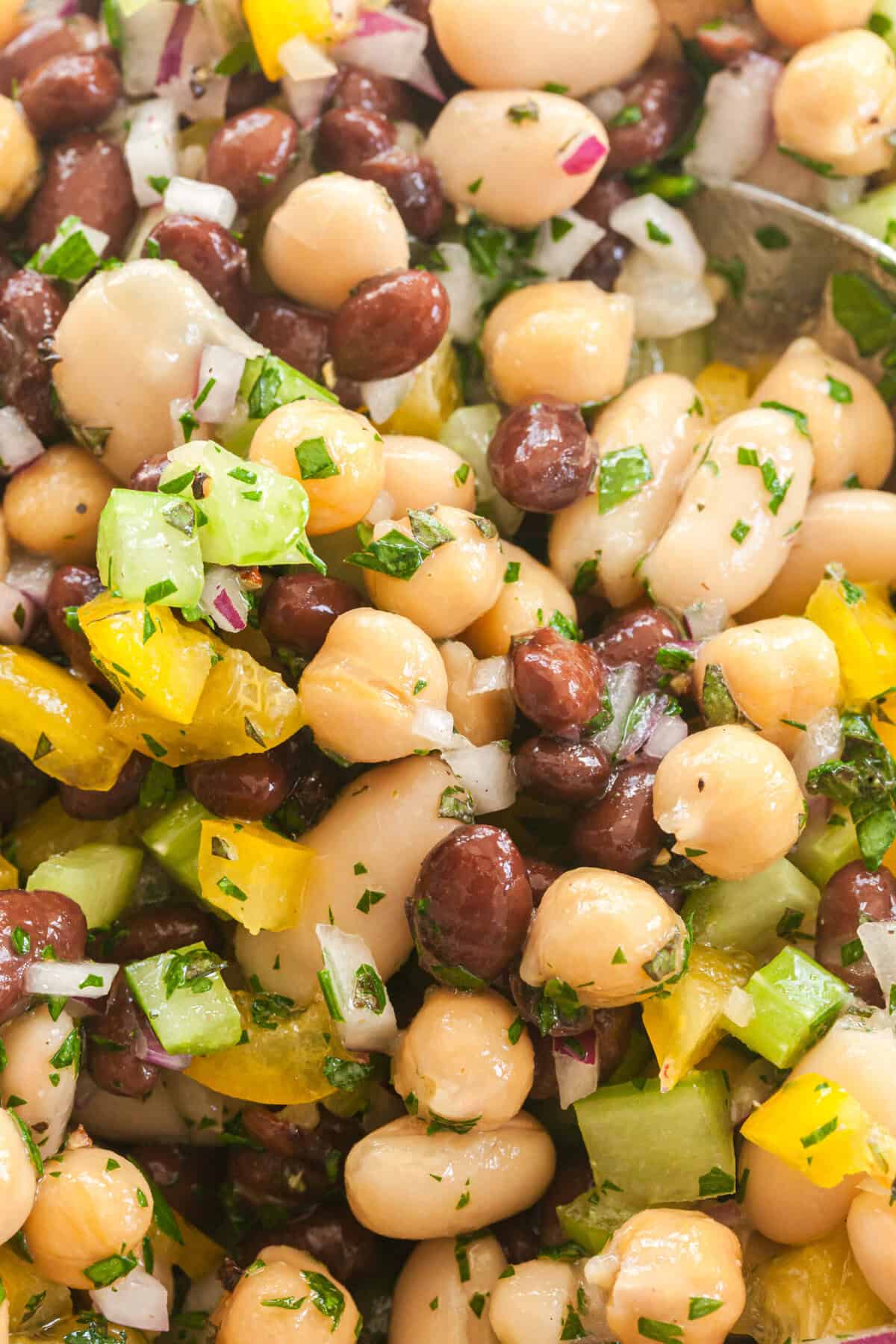3 Bean Salad Recipe