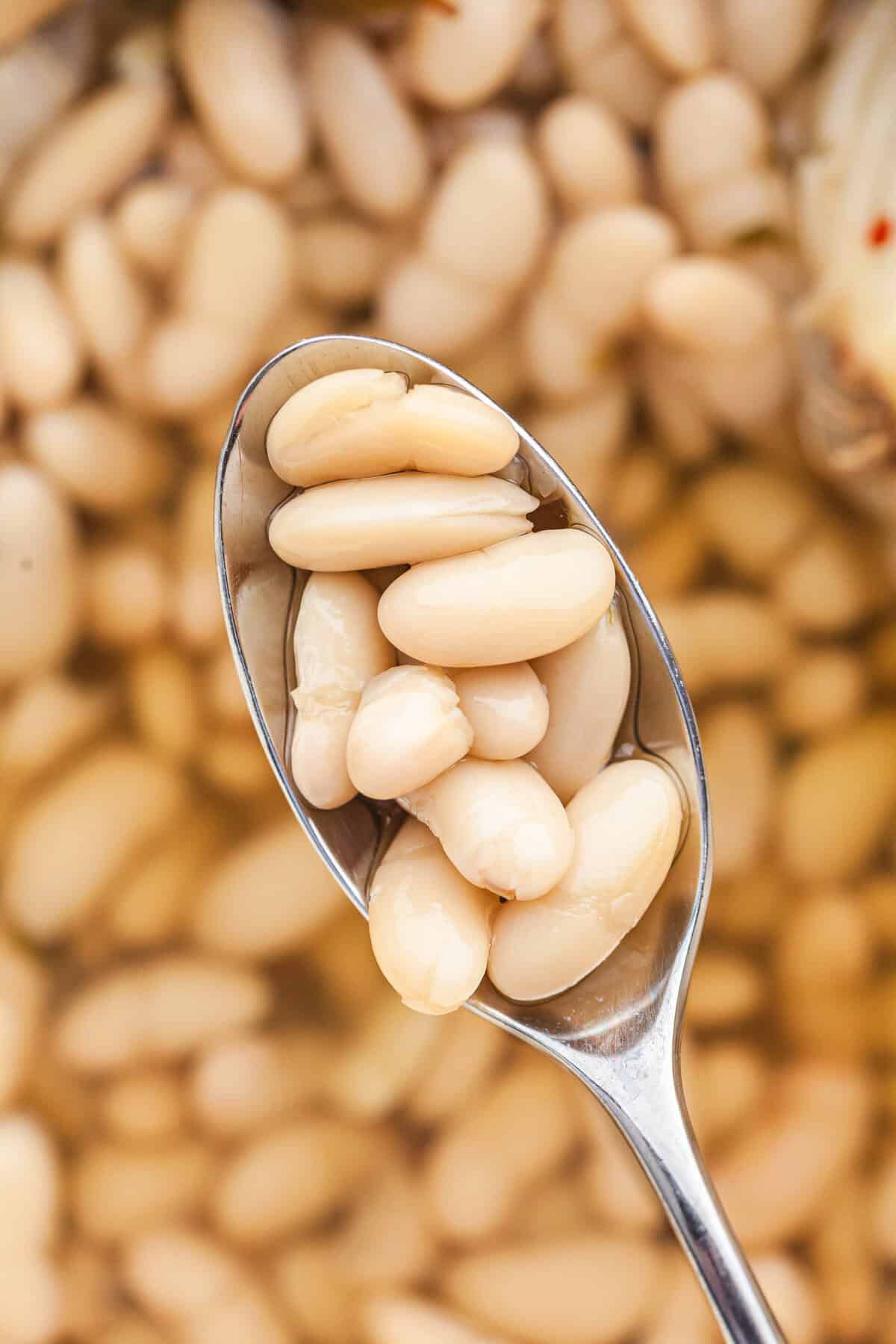 Cannellini Beans: From Dried Beans to Brothy Bean Bliss