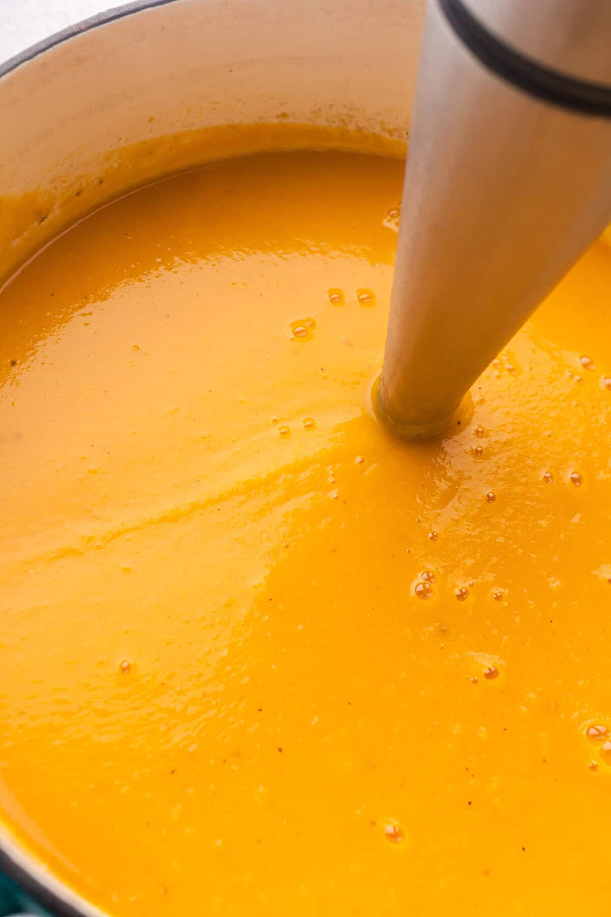 Butternut Squash White Bean Soup