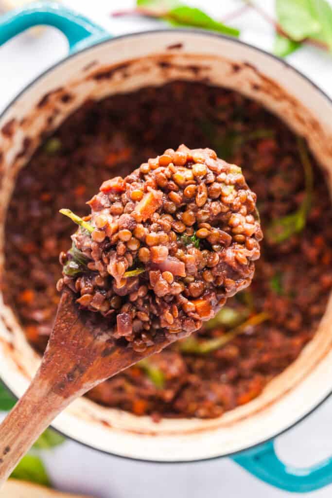 French Lentils Braised in Red Wine and Caramelized Onions