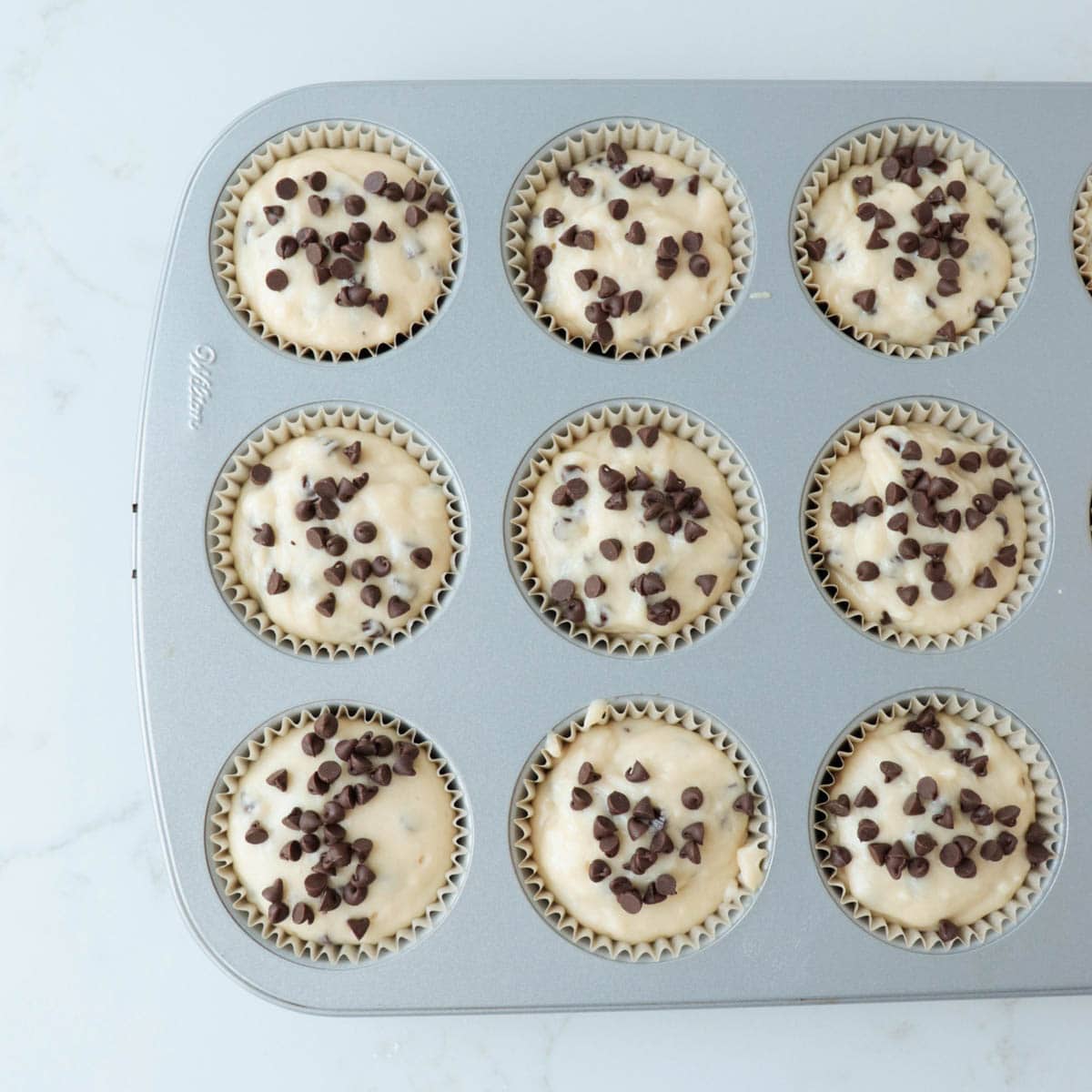 Chocolate Chip Muffins