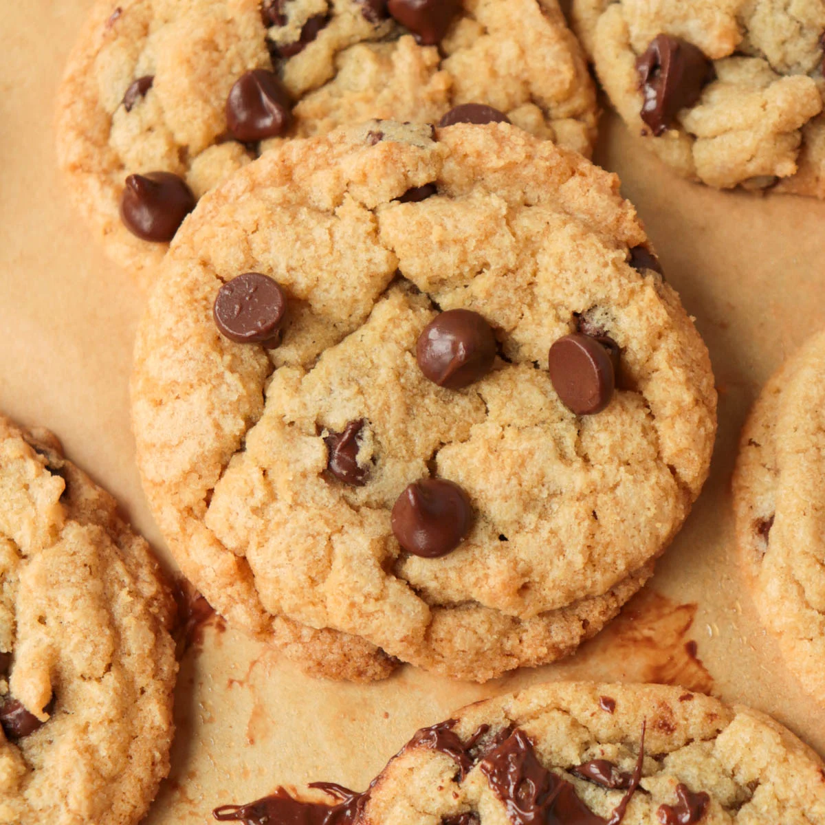 Classic Chocolate Chip Cookies