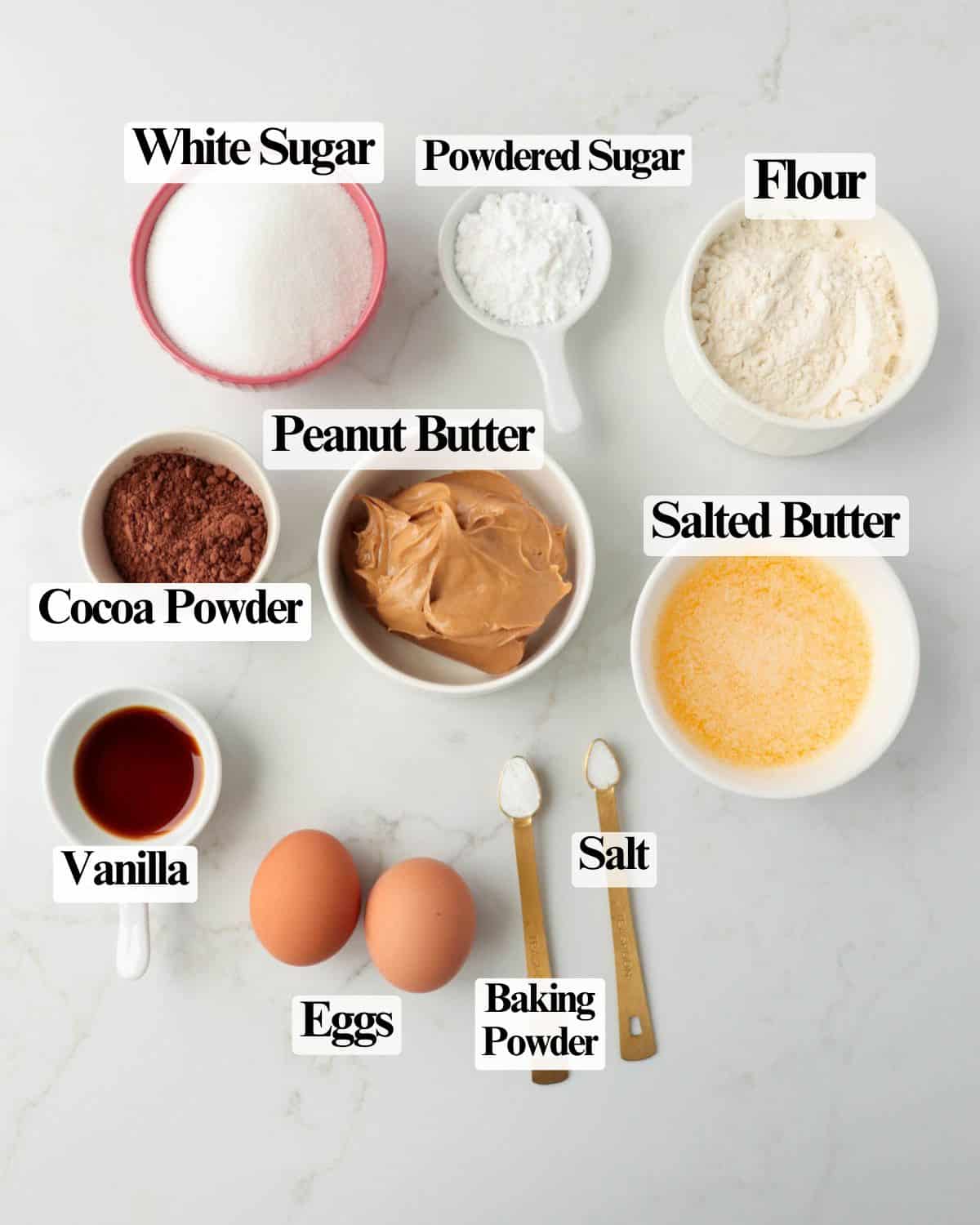 Chocolate Peanut Butter Brownies