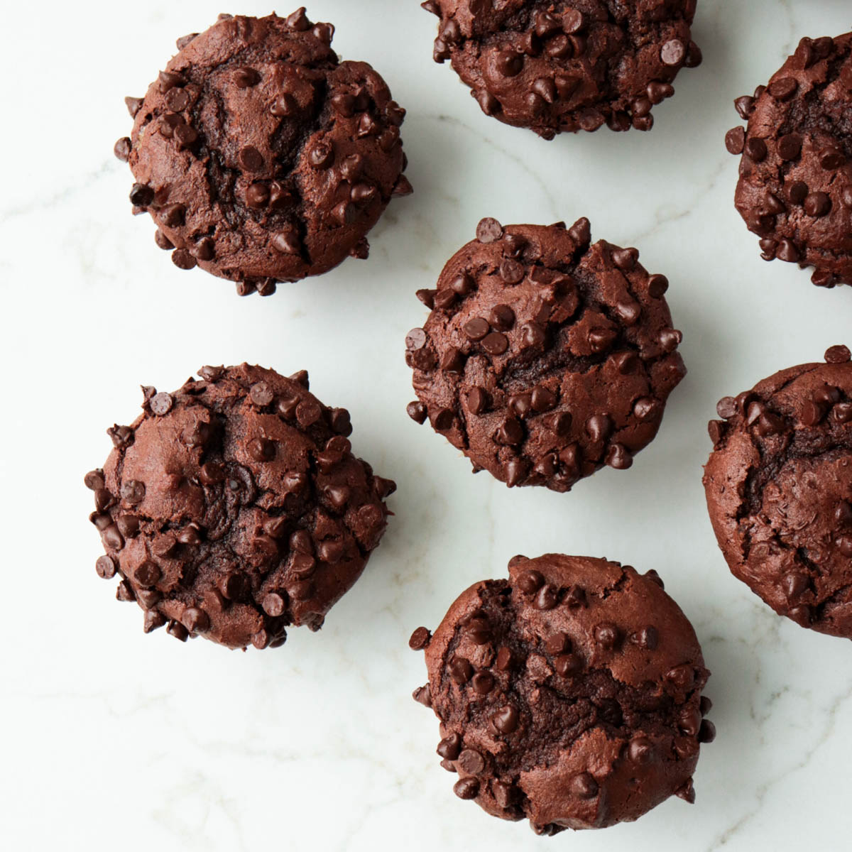 Double Chocolate Muffins