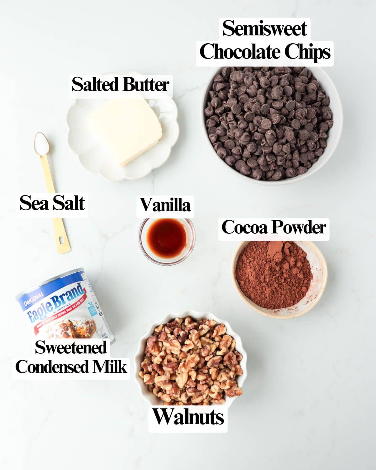 Chocolate Walnut Fudge