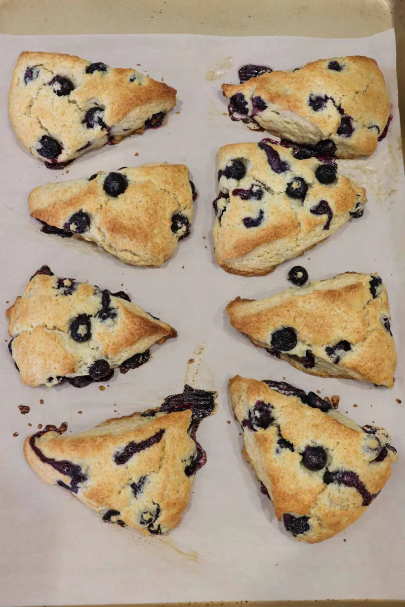 Blueberry Maple Scones