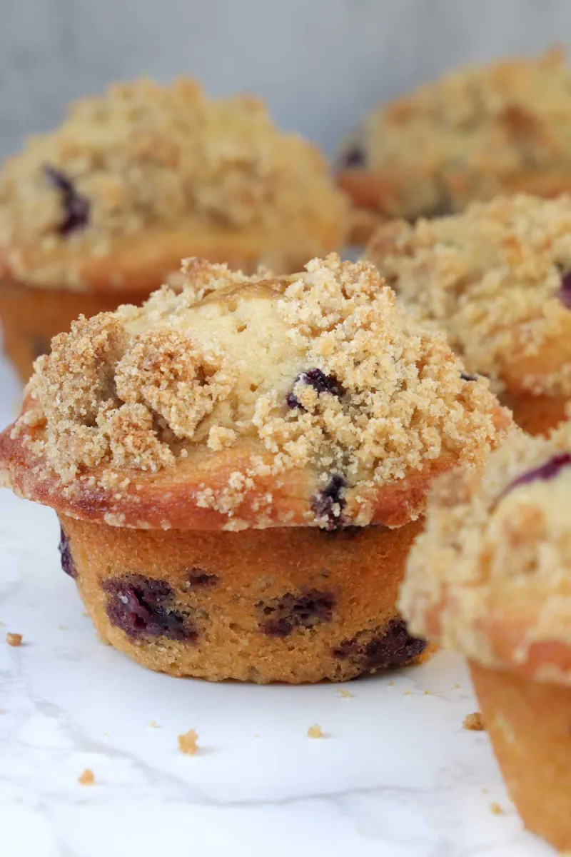 Blueberry Muffins with Crumb Topping