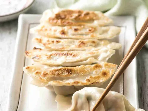 Japanese GYOZA (Dumplings)