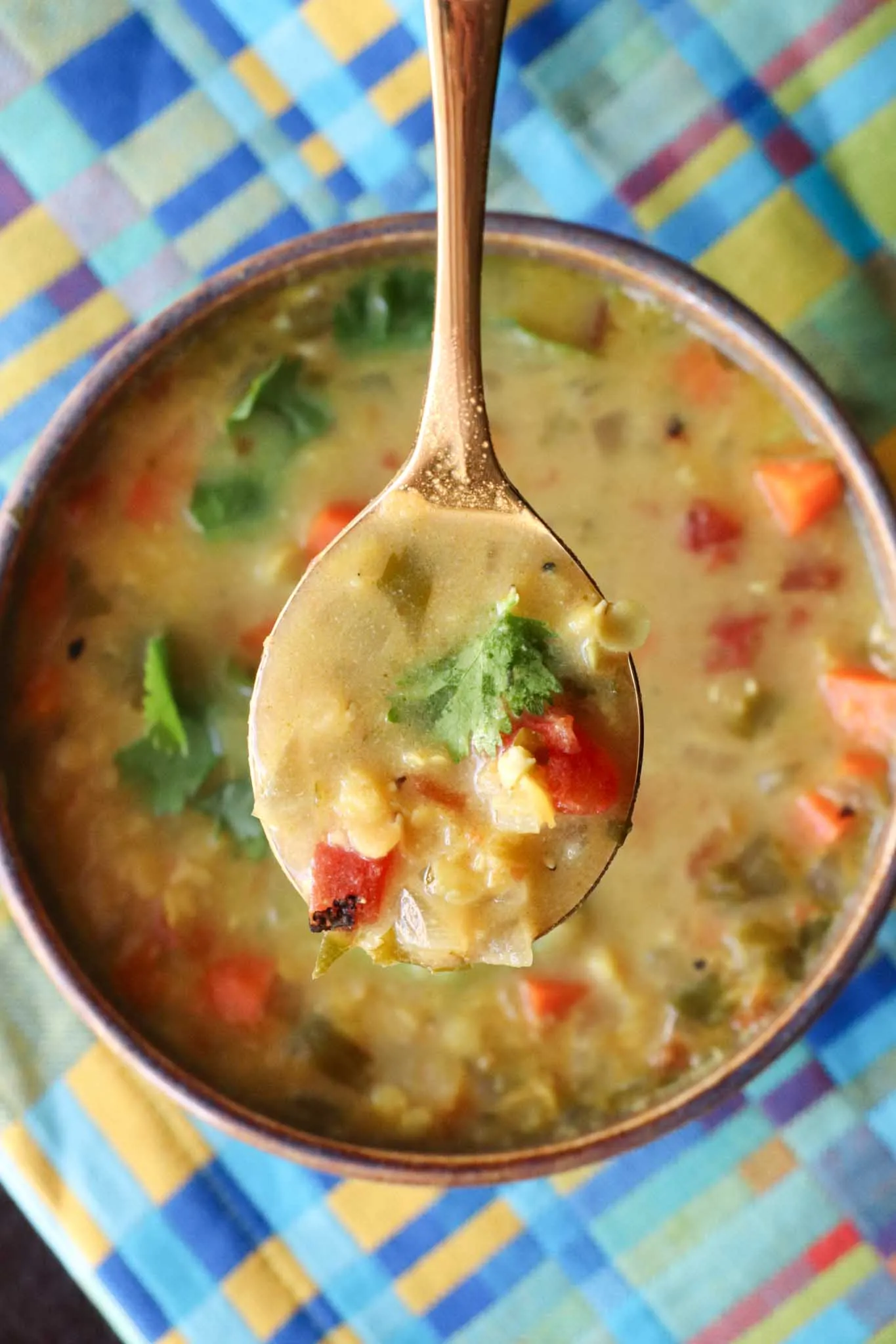 Coconut Curried Red Lentil Soup (Plant-Based)