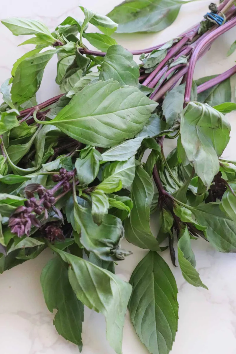 Thai Red Curry with Pumpkin