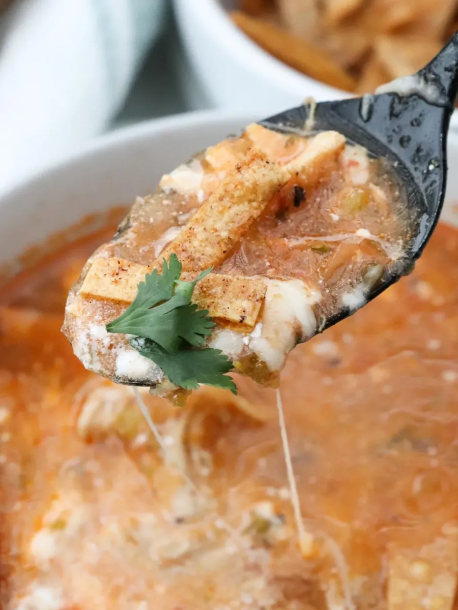 Easy Chicken Tortilla Soup