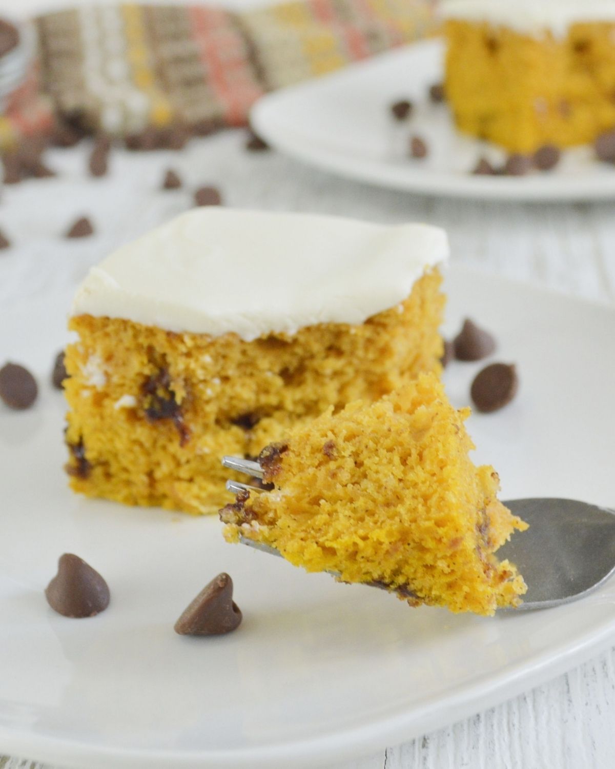 Pumpkin Chocolate Chip Cake