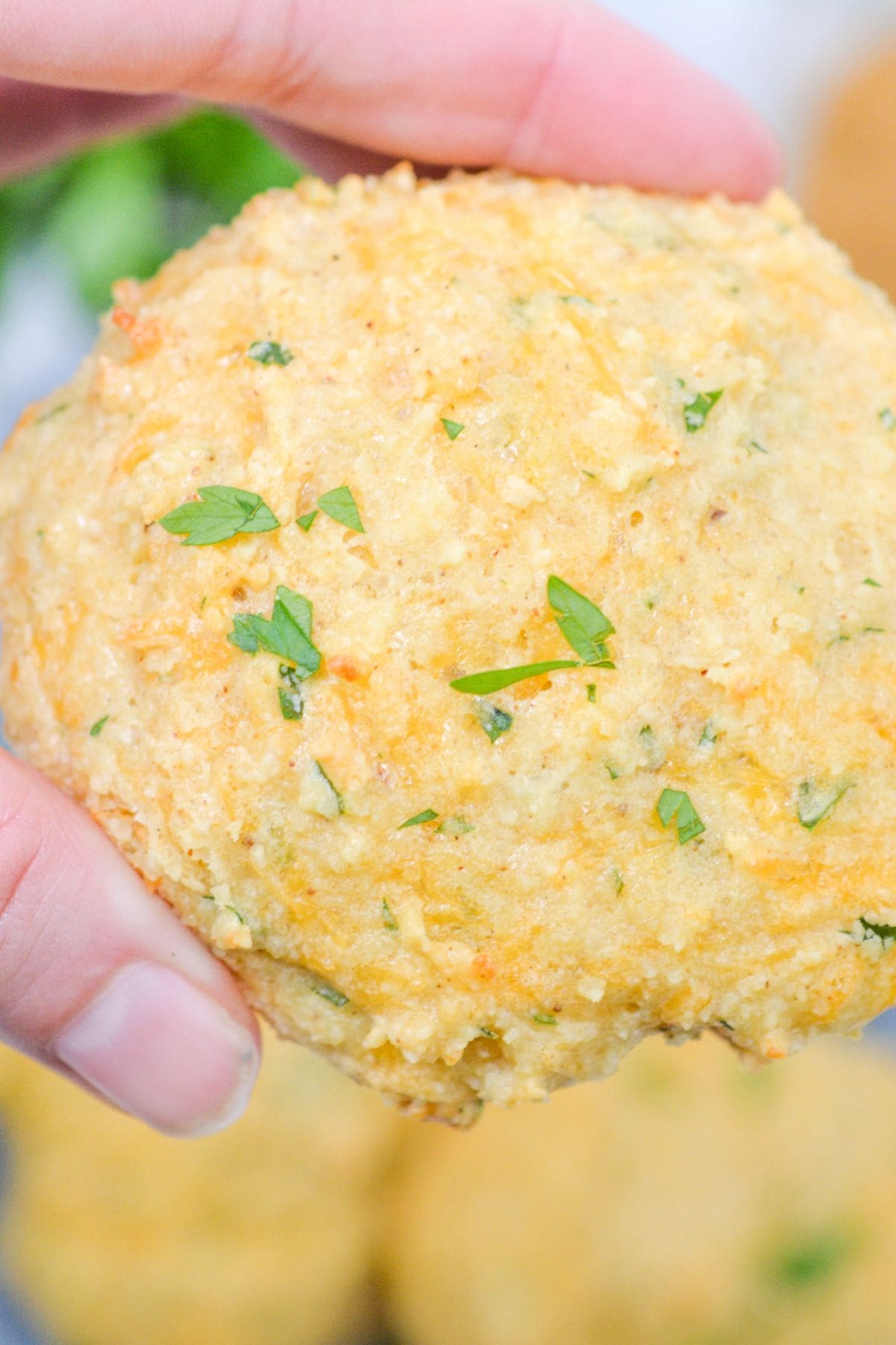 Bisquick Cheddar Biscuits