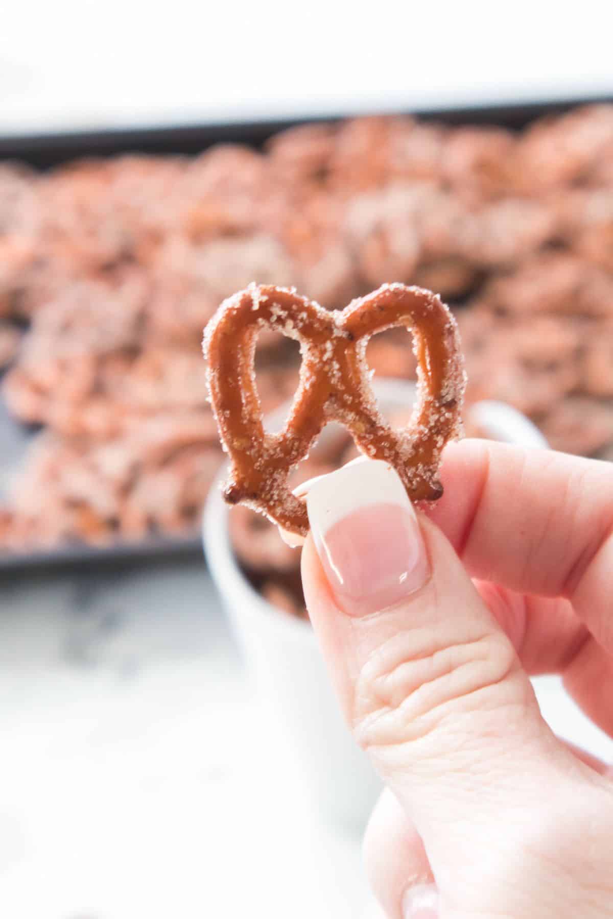 Cinnamon and Sugar Pretzels